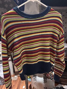 wild fable Multicolor Striped Crewneck Sweater - Navy Trim